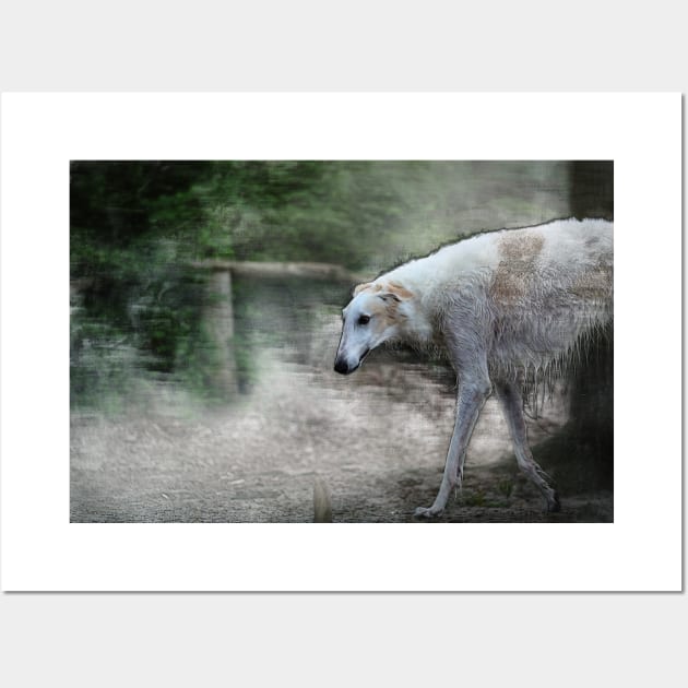 greyhound, whippet - 02 Wall Art by hottehue